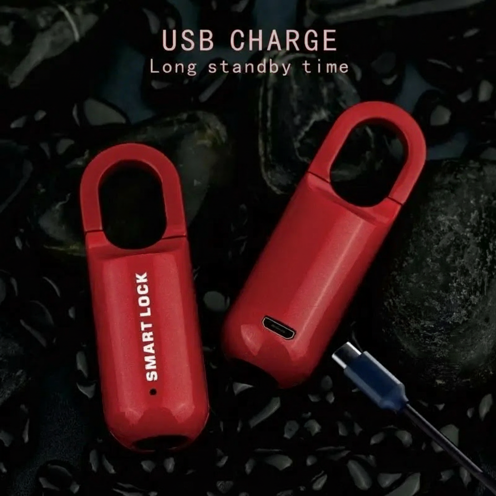 E74E Fingerprint Lock Door Lock Security Keyless USB Rechargeable Padlock Quick Anti-Theft Lock for Bag Suitcase